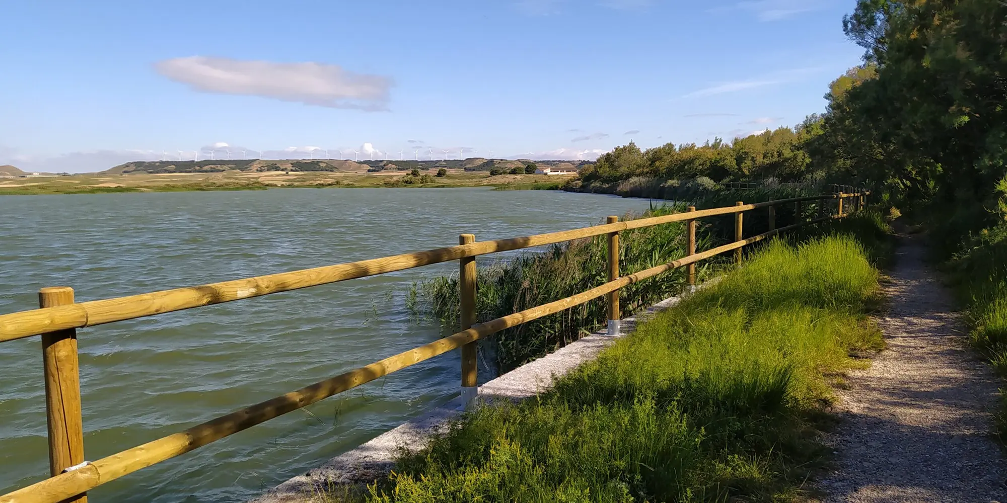 Lagunas y Balsas