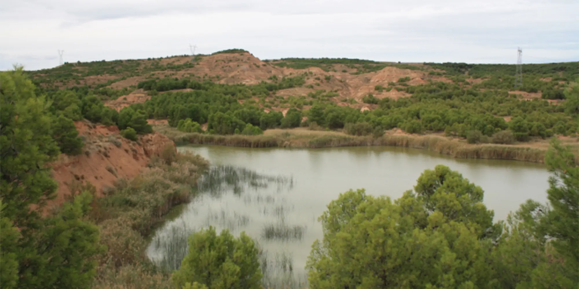 Sotos del Ebro
