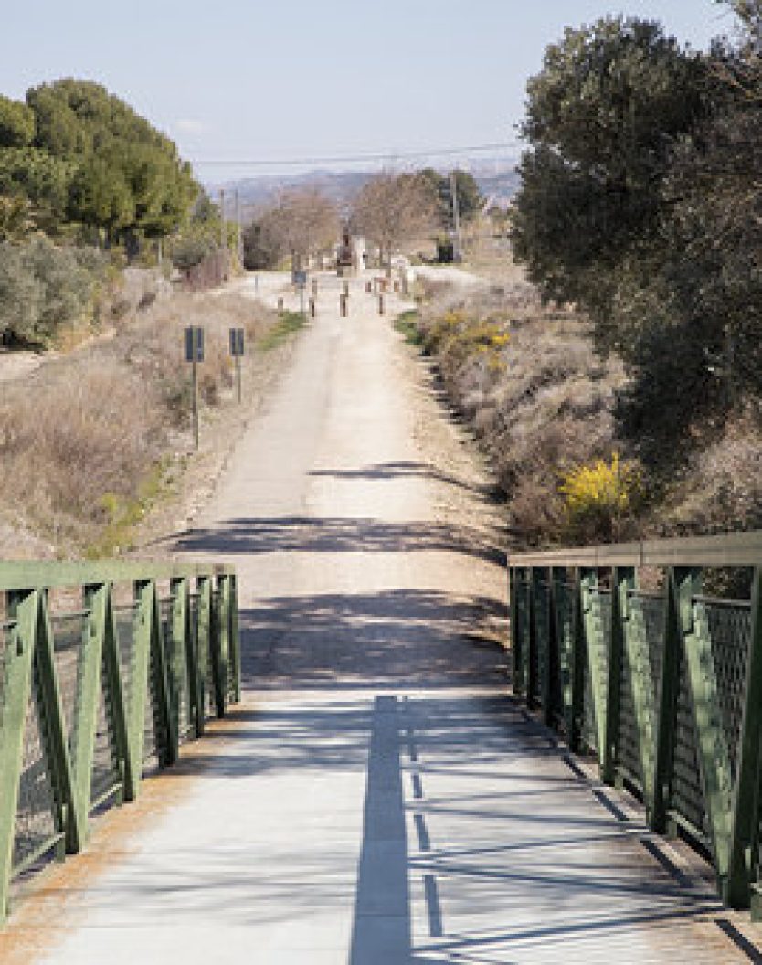 tarazonica